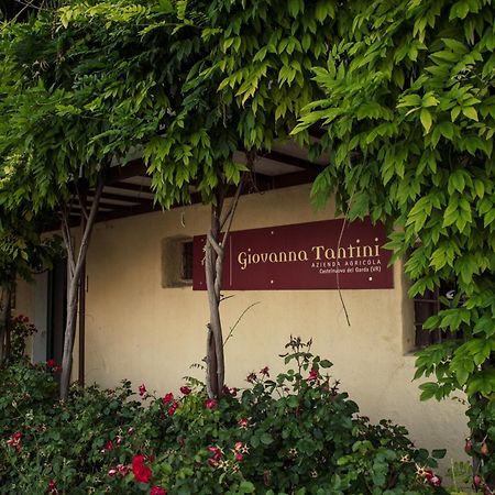 Agriturismo I Mischi Castelnuovo del Garda Exterior foto